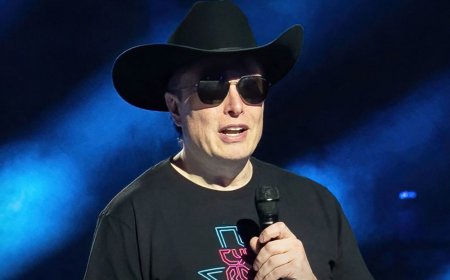 Elon Musk Chooses Between France And England