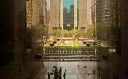 India's services sector output increases at second-fastest pace in close to 13 years in May: PMI