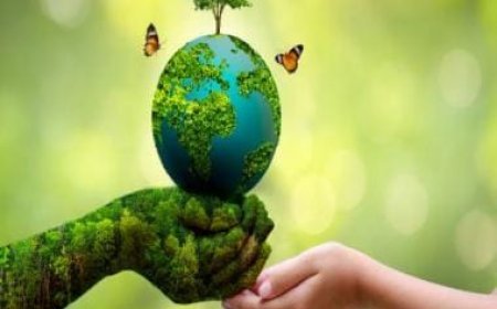 World Environment Day 2023: History, theme and significance