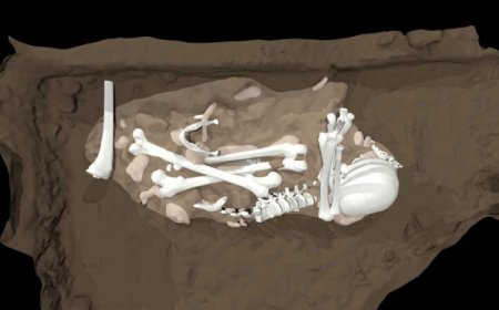 Homo naledi may have dug cave graves and carved marks into cave walls