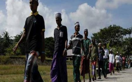 No forced return of Rohingya refugees to Myanmar, Bangladesh promises