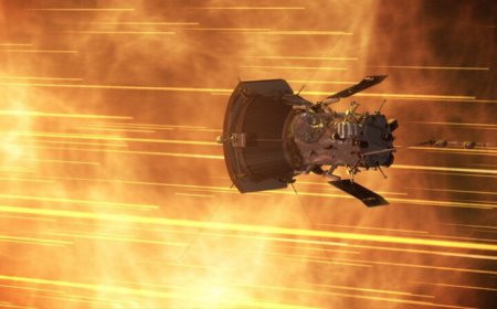 The Parker Solar Probe may have spotted the origin of high-speed solar winds