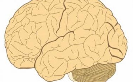 World Brain Tumour Day 2023: Is headache the first sign of brain tumour?