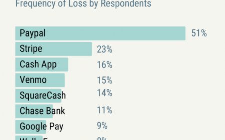 How Online Payments Services Like PayPal and Venmo Are ‘Gentrifying the Internet’