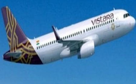 Passenger held for hoax 'bomb' threat on Vistara flight, allowed to go as nothing suspicious found