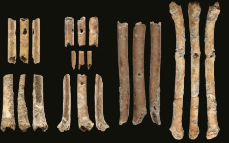 These ancient flutes may have been used to lure falcons