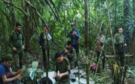 Colombia: Children lost for 40 days in Amazon found alive