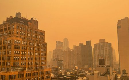 One Canadian Firefighter Lays Out a Hard Truth About Raging Wildfires