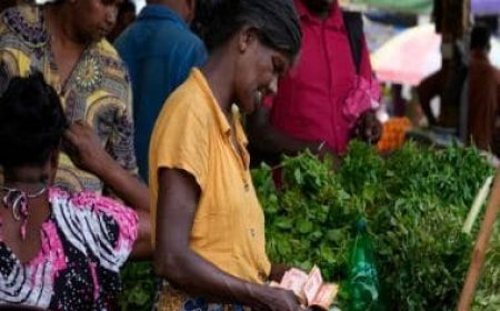 Sri Lanka lifts import restrictions on 286 items as economic woes eases