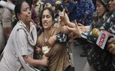 Vinesh Phogat accuses government of shielding Brij Bhushan Sharan Singh