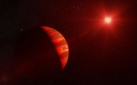 Jupiter-sized planets are very rare around the least massive stars