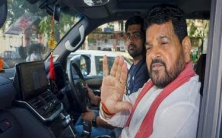 WFI elections: None of Brij Bhushan's family members to contest WFI elections, says report