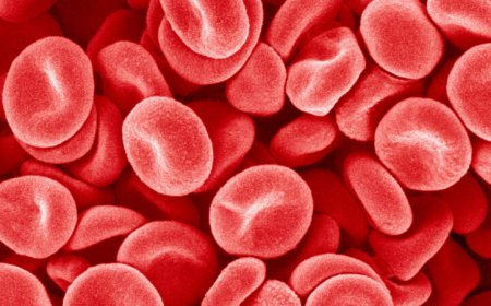 ‘In the Blood’ traces how a lifesaving product almost didn’t make it