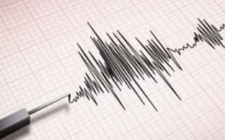 Assam earthquake LIVE Updates: Tremors felt in Assam's Guwahati and other parts of the northeast region