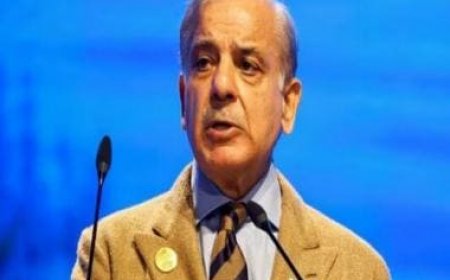 US rubbishes Imran Khan's allegations of having engineered his fall, tells Shehbaz govt to let journalists do their job