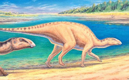 New fossils from Patagonia may rewrite the history of duck-billed dinosaurs