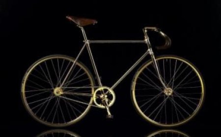 Pedal in extravagance: Discover the world's costliest bicycles that redefine opulence