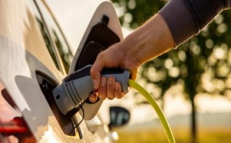 Explained: What is lithium iron phosphate and why are EV manufacturers going crazy over it
