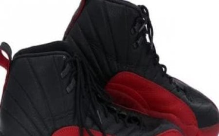 Michael Jordan's 'Flu Game' shoes sold for Rs 11 crore at auction