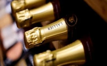Uncorking Opulence: 10 of the Most Expensive Wines in the World