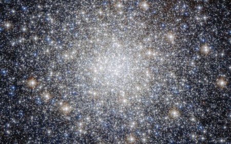 A star cluster in the Milky Way appears to be as old as the universe