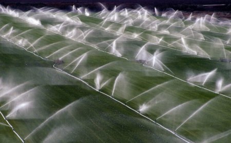 Irrigation may be shifting Earth’s rotational axis