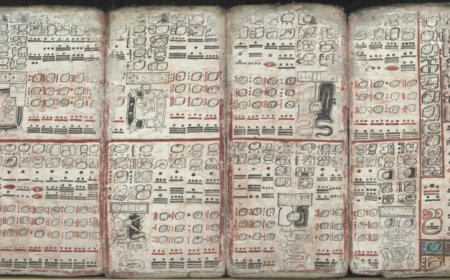 50 years ago, a search for proof that the Maya tracked comets came up short