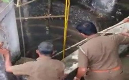 Watch: Karnataka villagers use 'jugaad' to save leopard trapped in well; succeed in efforts