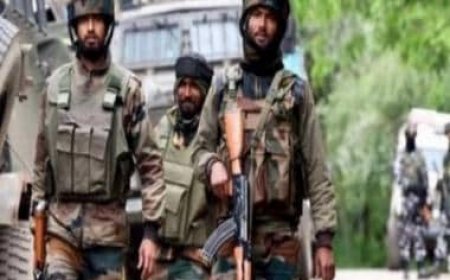 Militant killed in encounter in Jammu and Kashmir's Kulgam