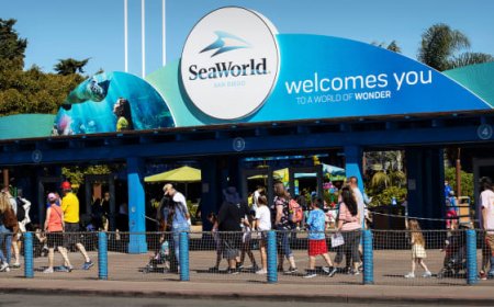 Disney World Rival Unveils Lower Prices That Guests Will Love