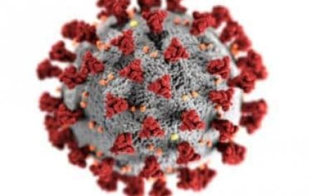 China engineered Covid-19 'bioweapon' to purposely infect people, reveals Wuhan researcher