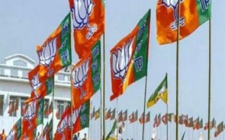 BJP buckles up for upcoming Lok Sabha elections, JP Nadda to hold region-wise meetings from July 6