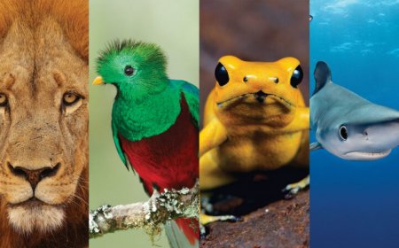 Humans exploit about one-third of wild vertebrate species