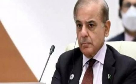 'China saved Pakistan from default': PM Shehbaz Sharif on IMF bailout
