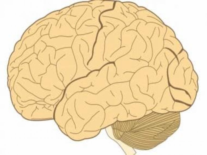 World Brain Tumour Day 2023: Is headache the first sign of brain tumour?