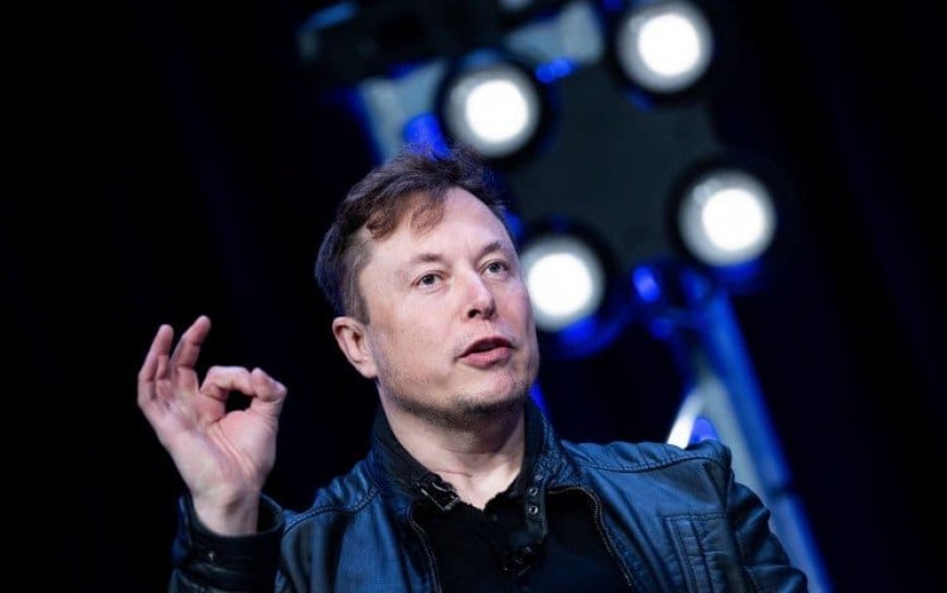 Elon Musk Gives Google a Test