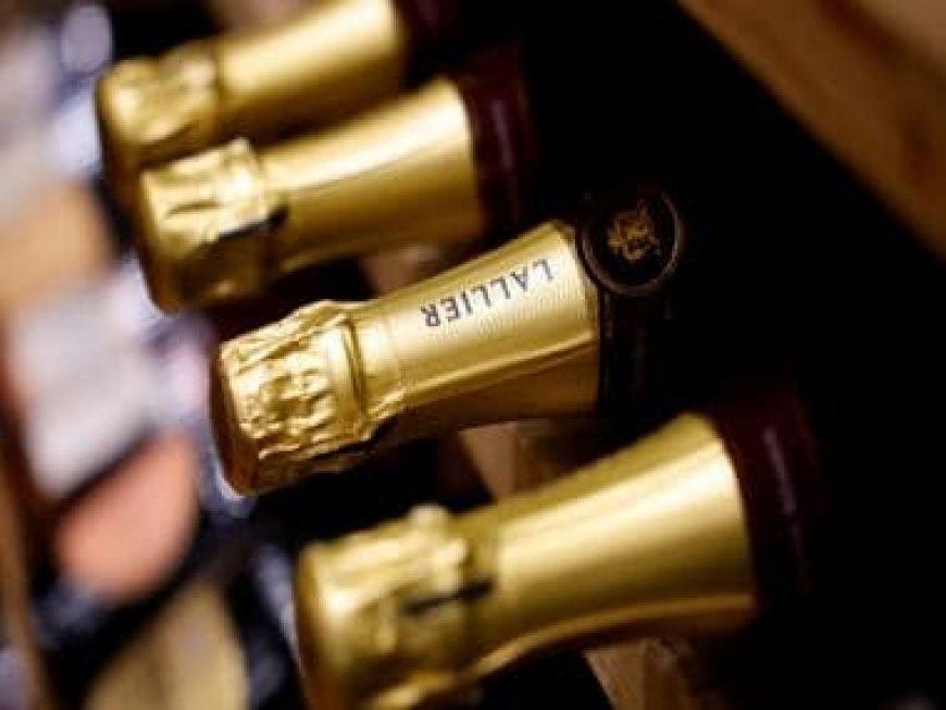 Uncorking Opulence: 10 of the Most Expensive Wines in the World