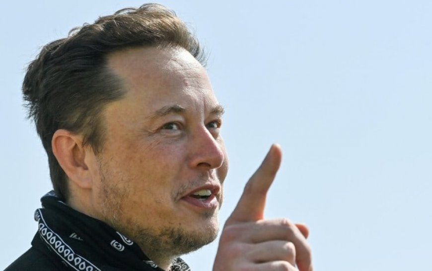 Elon Musk Gives Farmers a Surprise Weapon Against Their Biggest Threat