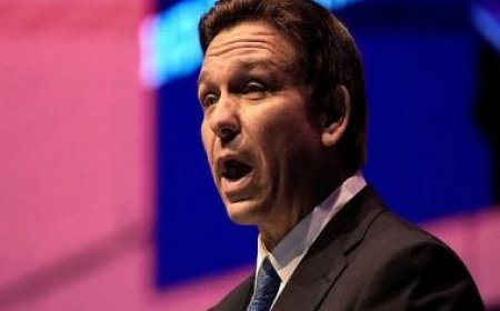 Mexico blasts new Florida immigration law; vows to help migrants