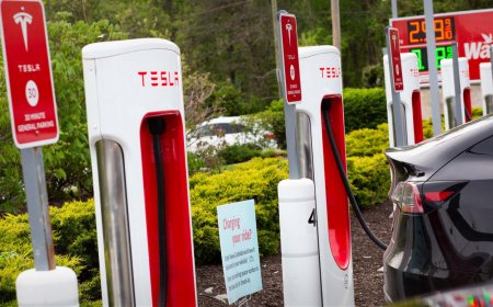 Tesla Posts Record Second Quarter Deliveries, Topping Street Forecasts