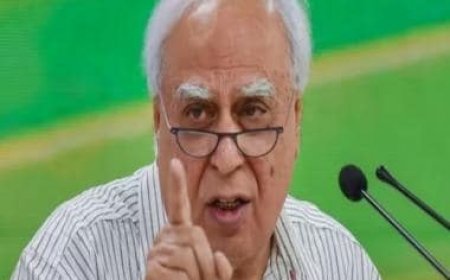 'First attack the corrupt, then embrace them': Kapil Sibal slams BJP after Ajit Pawar joins Maharashtra govt