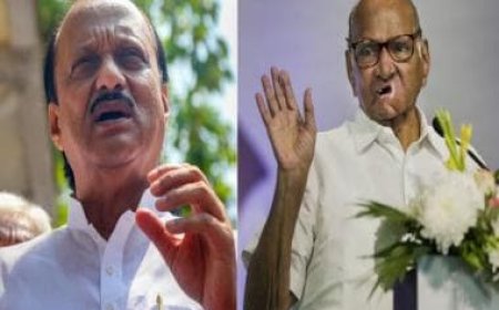Sharad Pawar vs Ajit Pawar: Who has more support?