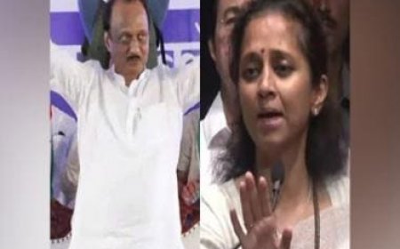 Maharashtra LIVE Updates: NCP crisis deepens as rival groups hold parallel meetings in Mumbai in show of strength