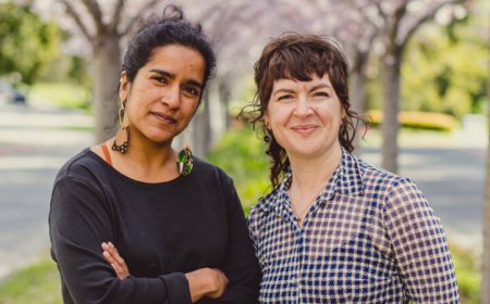 These researchers are reimagining animal behavior through a feminist lens