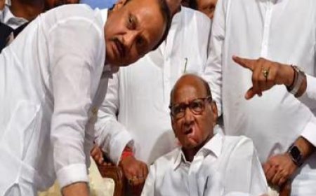 Pawar vs Pawar: Why all eyes have turned to Maharashtra Speaker Rahul Narwekar