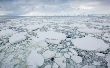 Antarctic sea ice has been hitting record lows for most of this year