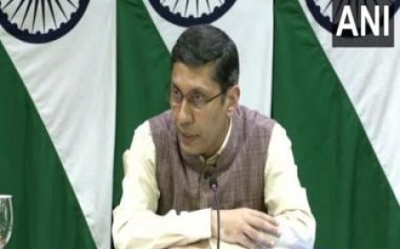 India's relationship with each country stands on its own: MEA on if PM Modi's visit to France is to counter China