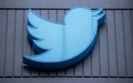 Egg On Face: Viral US left-wing Twitter account ‘Erica Marsh’ suspended, was allegedly fake