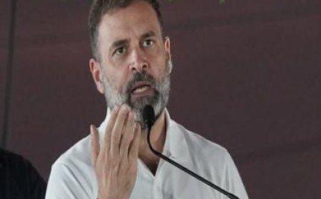 Modi surname defamation case: High Court rejects Rahul Gandhi's plea seeking stay on conviction