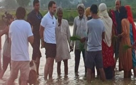 Rahul Gandhi makes impromptu visit to Haryana's Sonipat; interacts with villagers, rides tractor
